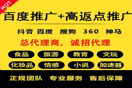 SEM服务公司经典案例集锦