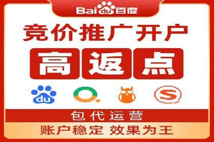 经典案例：SEM代运营服务公司的成功之路